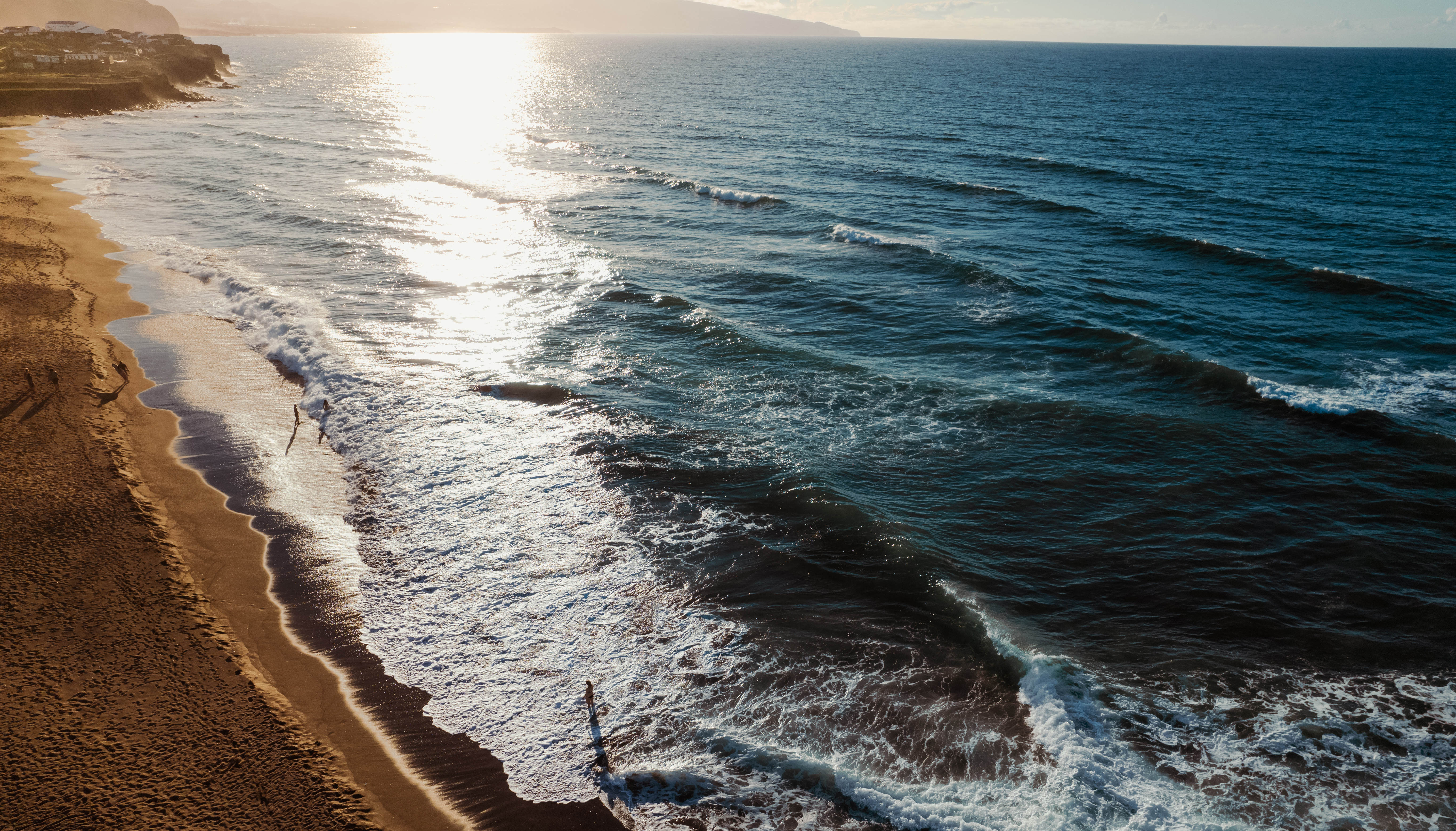 Foamy sea and sandy shore in sunset